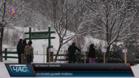 Де придбати законну ялинку та за скільки?