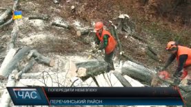 На Перечинщині зрізають аварійні дерева