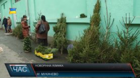 Скільки коштує новорічна красуня?