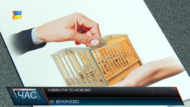 Сплачувати аліменти згідно із законом