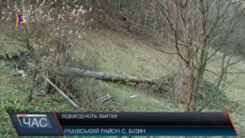 Відшкодують збитки