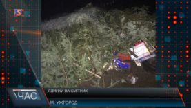 Непотрібна краса. Непродані Новорічні ялинки викидають на смітник