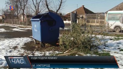 Виставка до Дня Соборності