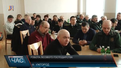 Лісівники обговрювали важливі питання лісомисливської сфери