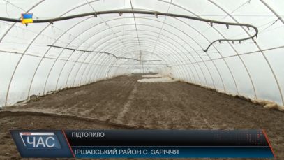 На Іршавщині підтоплило усі тепличні угіддя