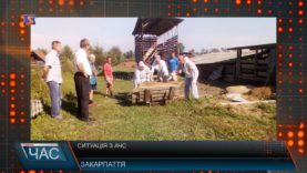 На Закарпатті фіксують нові випадки АЧС