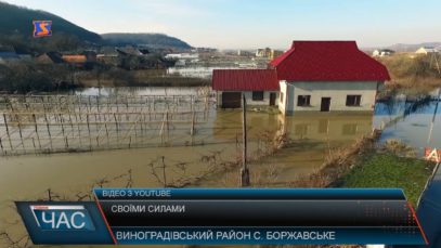 Своїми силами