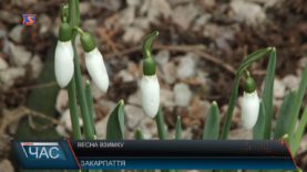 Весна взимку