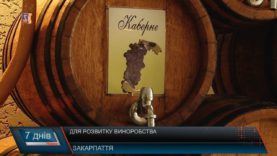 Доля виноробства