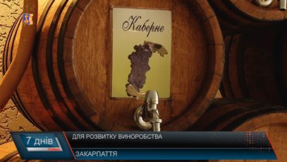 Доля виноробства
