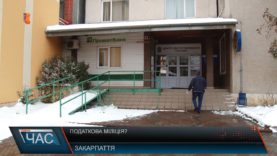 Податкова міліція?