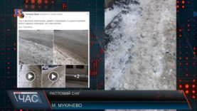 Раптовий сніг