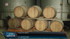 Закарпаття – край вина