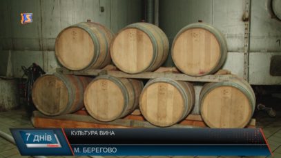Закарпаття – край вина
