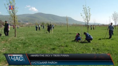 «Майбутнє лісу в твоїх руках»
