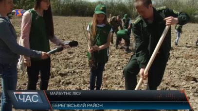 «Майбутнє лісу в твоїх руках».На Берегівщині саджали дерева