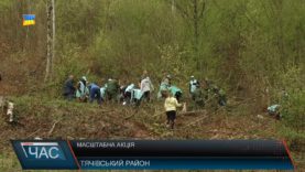 Масштабна акція з висадки лісу