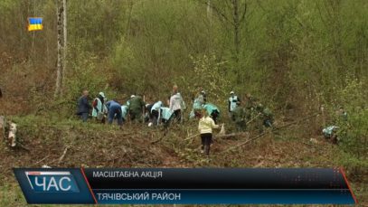 Масштабна акція з висадки лісу