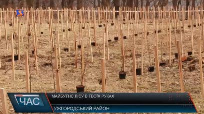 На Закарпатті стартувала акція «Майбутнє лісу в твоїх руках».