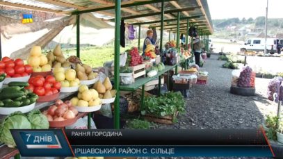 Ранні овочі – візитівка Закарпаття