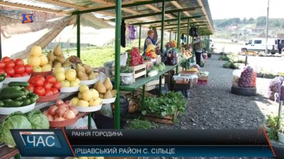 Ранні овочі заполонили прилавки магазинів та ринків