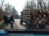 Рубають ліс. Законно, чи ні?