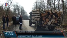 Рубають ліс. Законно, чи ні?