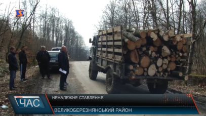 Рубають ліс. Законно, чи ні?