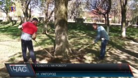 Толока з прибирання та благоустрою