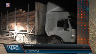 Лісівника затримали на хабарі