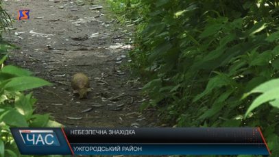 Небезпечна знахідка