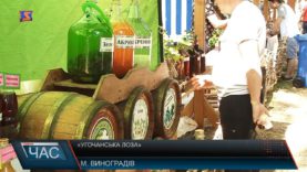 У Виноградові відбувся фестиваль «Угочанська лоза»
