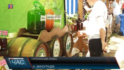 У Виноградові відбувся фестиваль «Угочанська лоза»
