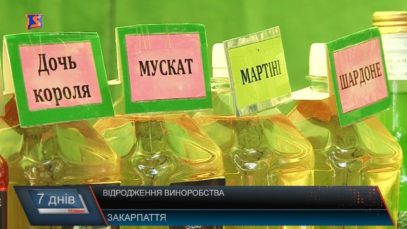 «Вінко червеноє»