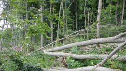 35302289_1842679712700665_8463508046344093696_n-960×480