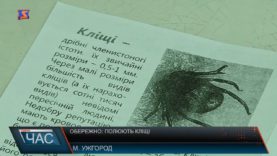 Як урятуватися від кліщів