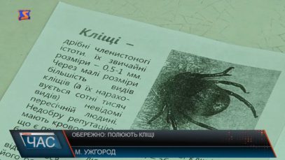 Як урятуватися від кліщів