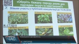 Ужгородці хочуть бачити в місті більше екзотичних дерев