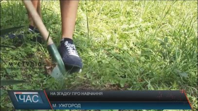 В Ужгороді студенти висадили дерева на згадку про навчання