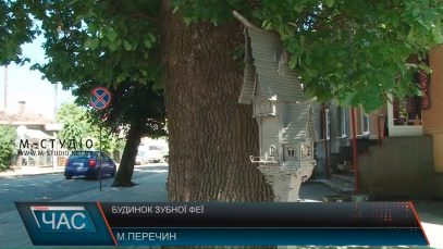 Будиночок зубної феї з’явився у Перечині