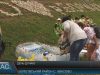 День Дунаю на Закарпатті: лицарі та пластикові кораблі
