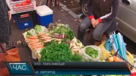 Кишкові інфекції щотижня виявляють у 50 закарпатців