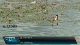 Річка брудна, басейн закрили: де купатися мукачівцям?