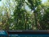 Століттями недоторкані ліси шукають на Свалявщині
