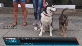 Ужгород долучився до акції проти жорстокого поводження з тваринами