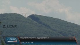 За контрабанду лісу – до 7 років тюрми
