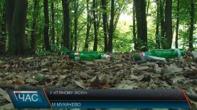 Зелена зона в Мукачеві стала прихистком любителів випити та насмітити