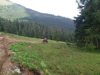 39121885_219584662056014_3314229784749277184_n