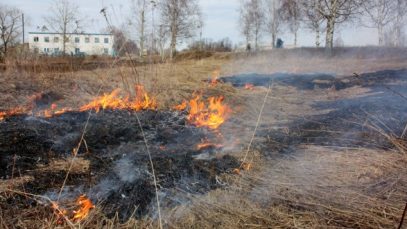 5b3b3482698721.67658813_ujhbn_nhfdf