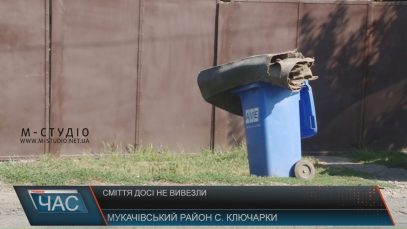 Сміття з с. Ключарки так і не вивозять – через загадкові “біологічні відходи”